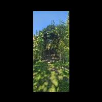 whatsapp image 2025-09-22 at 07.50.57 (4).jpeg